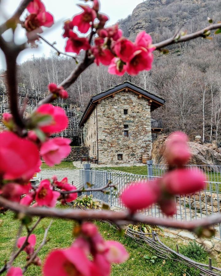 B&B Al Vecchio Torchio Settimo Vittone Bagian luar foto
